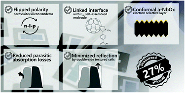 Graphical abstract: Ligand-bridged charge extraction and enhanced quantum efficiency enable efficient n–i–p perovskite/silicon tandem solar cells