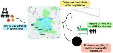 Graphical abstract: Modeling SARS-CoV-2 RNA degradation in small and large sewersheds