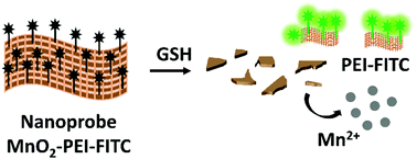 Graphical abstract: Development of manganese dioxide-based nanoprobes for fluorescence detection and imaging of glutathione