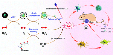 Graphical abstract: A multimodal strategy of Fe3O4@ZIF-8/GOx@MnO2 hybrid nanozyme via TME modulation for tumor therapy