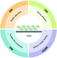 Graphical abstract: Molecular design of heterogeneous electrocatalysts using tannic acid-derived metal–phenolic networks