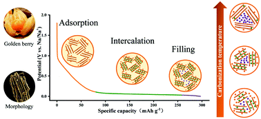 Graphical abstract: Temperature-regulated biomass-derived hard carbon as a superior anode for sodium-ion batteries