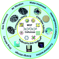 Graphical abstract: Advances in cellulose-metal organic framework composites: preparation and applications