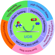 Graphical abstract: Strategies for designing more efficient electrocatalysts towards the urea oxidation reaction