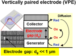 Graphical abstract: A vertically paired electrode for redox cycling and its application to immunoassays