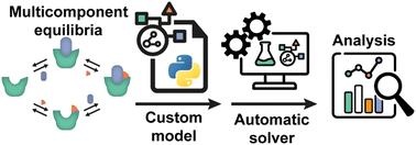 Graphical abstract: Straightforward model construction and analysis of multicomponent biomolecular systems in equilibrium