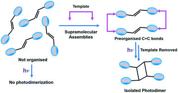 Graphical abstract: Isolation of elusive cyclobutane ligands via a template-assisted photochemical [2 + 2] cycloaddition reaction and their utility in engineering crystalline solids