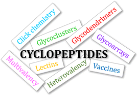 Graphical abstract: Multivalent glycocyclopeptides: conjugation methods and biological applications