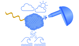 Graphical abstract: Surface composition of size-selected sea salt particles under the influence of organic acids studied in situ using synchrotron radiation X-ray photoelectron spectroscopy