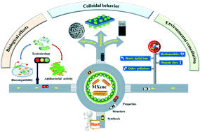 Graphical abstract: Recent progress in environmental remediation, colloidal behavior and biological effects of MXene: a review