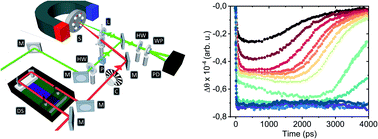 Graphical abstract: Nonequilibrium dynamics of α-RuCl3 – a time-resolved magneto-optical spectroscopy study