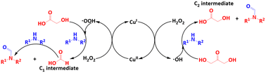 Graphical abstract: Cu-Catalysed sustainable synthesis of formamide with glycerol derivatives as a carbonyl source via a radical-relay mechanism