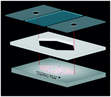 Graphical abstract: Cellular point-of-care diagnostics using an inexpensive layer-stack microfluidic device