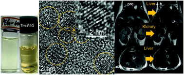 Graphical abstract: Paramagnetic ultrasmall Ho2O3 and Tm2O3 nanoparticles: characterization of r2 values and in vivo T2 MR images at a 3.0 T MR field