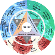 Graphical abstract: Research progress on near-infrared long persistent phosphor materials in biomedical applications