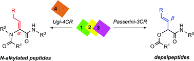 Graphical abstract: Ugi and Passerini reactions enable the incorporation of ΔAA into N-alkylated peptides and depsipeptides