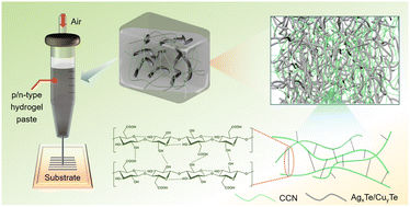 Graphical abstract: Hydrogel-based printing strategy for high-performance flexible thermoelectric generators