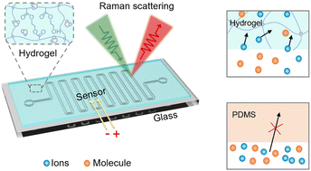 Graphical abstract: Non-invasive monitoring of biochemicals in hydrogel-assisted microfluidic chips