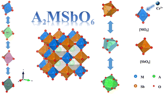 Graphical abstract: Cr3+-Doped double perovskite antimonates: efficient and tunable phosphors from NIR-I to NIR-II