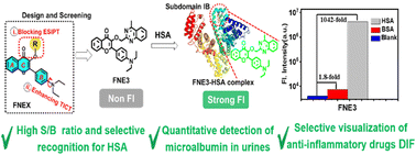 Graphical abstract: Engineering a selective fluorescent sensor with a high signal-to-background ratio for microalbumin detection and imaging