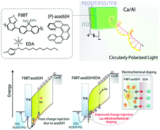 Graphical abstract: Enhancing hole carrier injection via low electrochemical doping on circularly polarized polymer light-emitting diodes