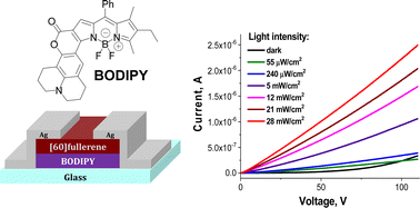 Graphical abstract: Efficient OFET-based optical memory and photodetectors using a novel BODIPY dye