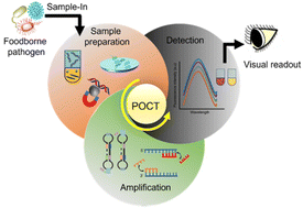 Graphical abstract: Advances in deoxyribonucleic acid extraction techniques and point-of-care molecular diagnosis of foodborne pathogens
