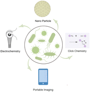 Graphical abstract: Application of ATP-based bioluminescence technology in bacterial detection: a review