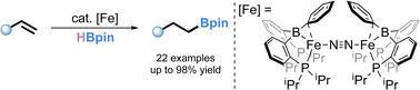 Graphical abstract: Olefin hydroboration catalyzed by an iron-borane complex