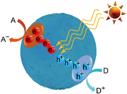 Graphical abstract: Schottky-barrier-free plasmonic photocatalysts