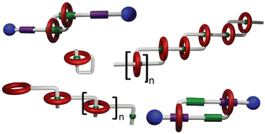 Graphical abstract: Daisy chain architectures: from discrete molecular entities to polymer materials