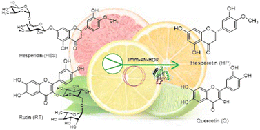 Graphical abstract: Flow bioprocessing of citrus glycosides for high-value aglycone preparation