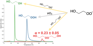 Graphical abstract: Accretion product formation in the self-reaction of ethene-derived hydroxy peroxy radicals