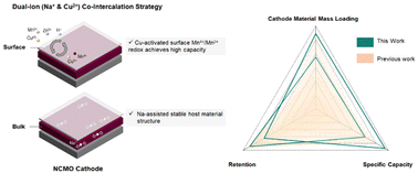 Graphical abstract: Co-intercalation strategy for simultaneously boosting two-electron conversion and bulk stabilization of Mn-based cathodes in aqueous zinc-ion batteries