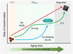 Graphical abstract: Synergistic inhibition of green rust crystallization by co-existing arsenic and silica