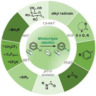 Graphical abstract: Photocatalyzed Minisci-type reactions for late-stage functionalization of pharmaceutically relevant compounds