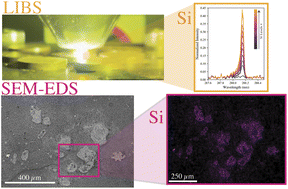 Graphical abstract: Rapid screening of wood and leaf tissues: investigating silicon-based phytoliths in Populus trichocarpa for carbon storage applications using laser-induced breakdown spectroscopy and scanning electron microscopy–energy dispersive X-ray spectroscopy