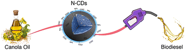 Graphical abstract: Nitrogen-doped carbon dots in transesterification reactions for biodiesel synthesis