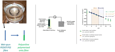 Graphical abstract: pH-responsive and antibacterial PANI-PEDOT:PSS fibres for wearable applications