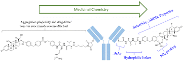 Graphical abstract: The medicinal chemistry evolution of antibody–drug conjugates