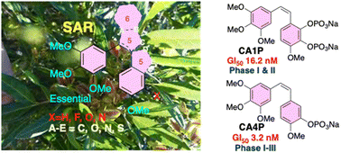 Graphical abstract: Discovery, synthesis, activities, structure–activity relationships, and clinical development of combretastatins and analogs as anticancer drugs. A comprehensive review