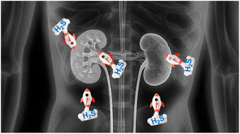 Graphical abstract: pH/ROS-responsive propelled nanomotors for the active treatment of renal injury