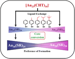 Graphical abstract: Control over product formation and thermodynamic stability of thiolate-protected gold nanoclusters through tuning of surface protecting ligands