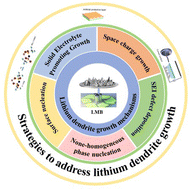 Graphical abstract: Mechanism and solutions of lithium dendrite growth in lithium metal batteries