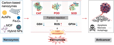 Graphical abstract: Nanozyme-enhanced ferroptosis for cancer treatment