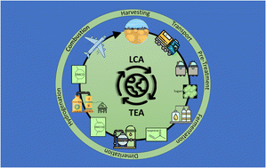 Graphical abstract: A sustainable aviation fuel pathway from biomass: life cycle environmental and cost evaluation for dimethylcyclooctane jet fuel