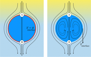 Graphical abstract: Lattice Boltzmann simulation of deformable fluid-filled bodies: progress and perspectives