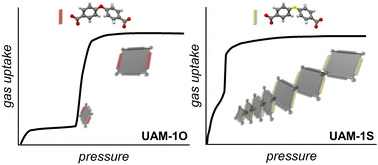 Graphical abstract: Tuning the guest-induced spatiotemporal response of isostructural dynamic frameworks towards efficient gas separation and storage