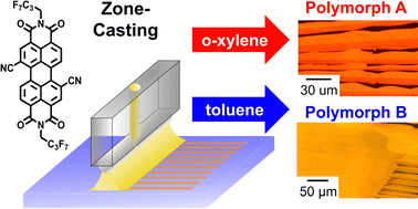 Graphical abstract: Optical and electronic properties of different thin-film polymorphs of PDIF-CN2 controlled by zone-casting conditions