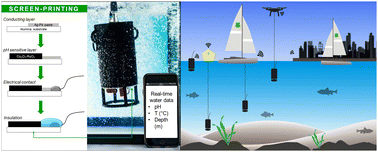 Graphical abstract: A high-performance pH-sensitive electrode integrated with a multi-sensing probe for online water quality monitoring